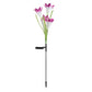 SunGlow™ - Solar Powered Garden Light